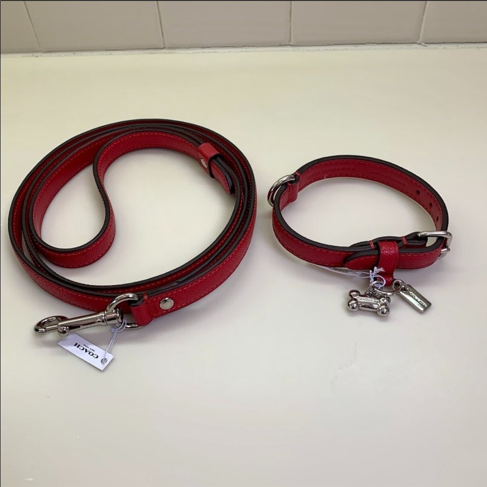 Coach leash and dog collar